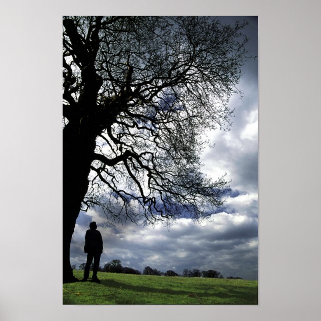 Poster Qui Est Allé Avec L'Arbre À Vent (Devant)