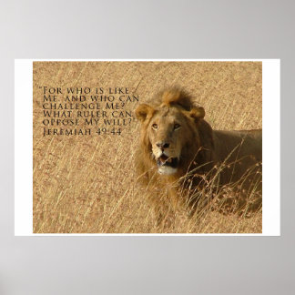 Poster Qui est le plus grand