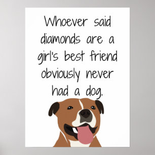 Poster Quiconque a dit que les diamants sont une fille me