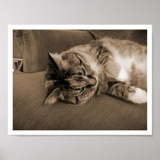 Poster Quiescence dans la rouille