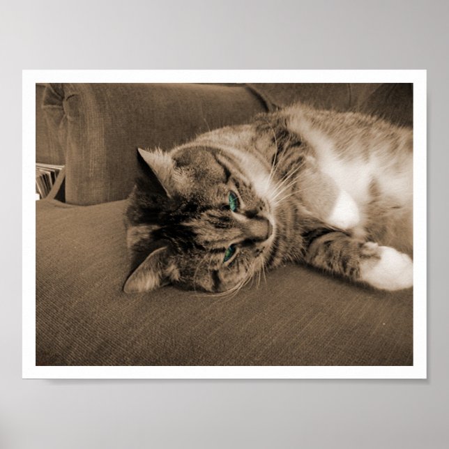 Poster Quiescence dans la rouille (Devant)