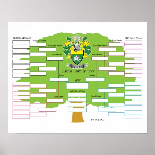 Poster Quinn-arbre-famille (Devant)