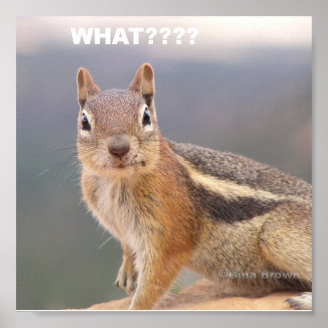 Poster Quoi ? ? ? ? (Devant)
