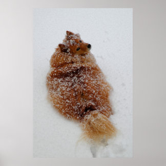 Poster 'Quoi ? ? ? ? '