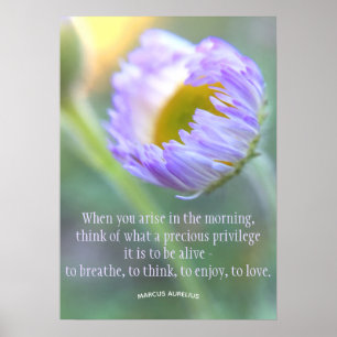 Poster Quotidienne Gratitude Inspirationnelle Citation Fl