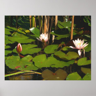 Poster Qu'y a-t-il en dessous ?