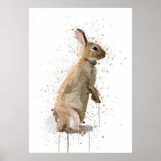 Poster Rabbit (Devant)