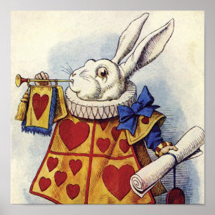 POSTER RABBIT BLANC