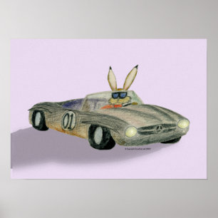 Poster Rabbit de course automobile
