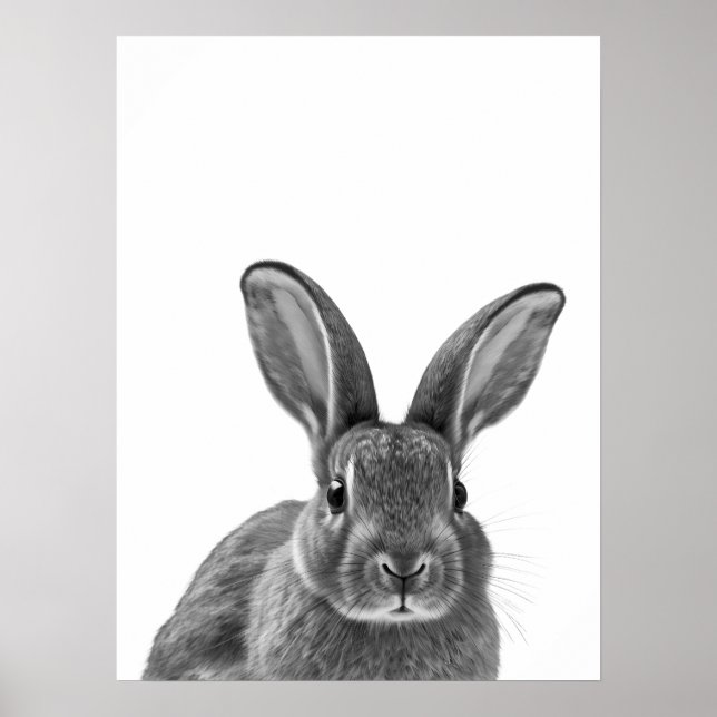 Poster Rabbit Woodland moderne Portrait noir blanc (Devant)