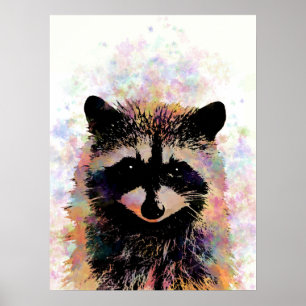 Poster Raccoon 27