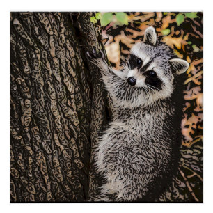 Poster Raccoon sauvage