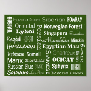 Poster Race de chats