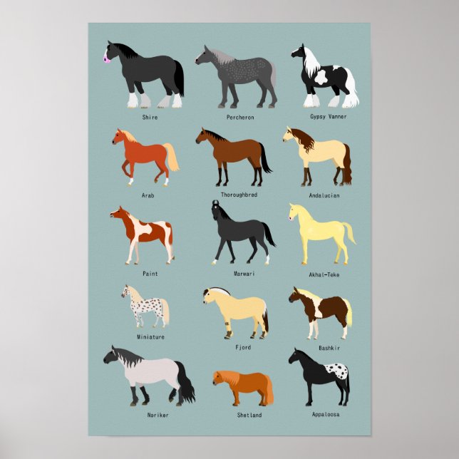 Poster race de cheval (Devant)