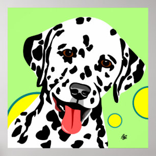 Poster Race de chien dalmate