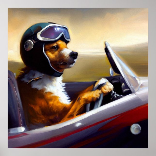 Poster Racecar de conduite de chien (Devant)