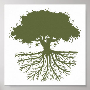 Poster Racines d'arbre