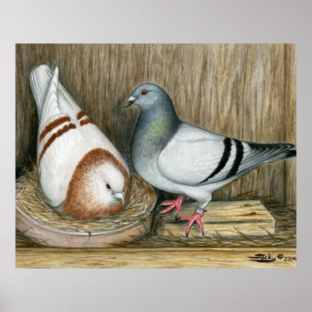 Poster Racing Homers Home Life (Devant)