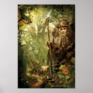 Poster RADAGAST™ en forêt