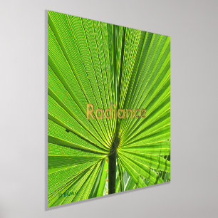 Poster - Radiant Palm Frond