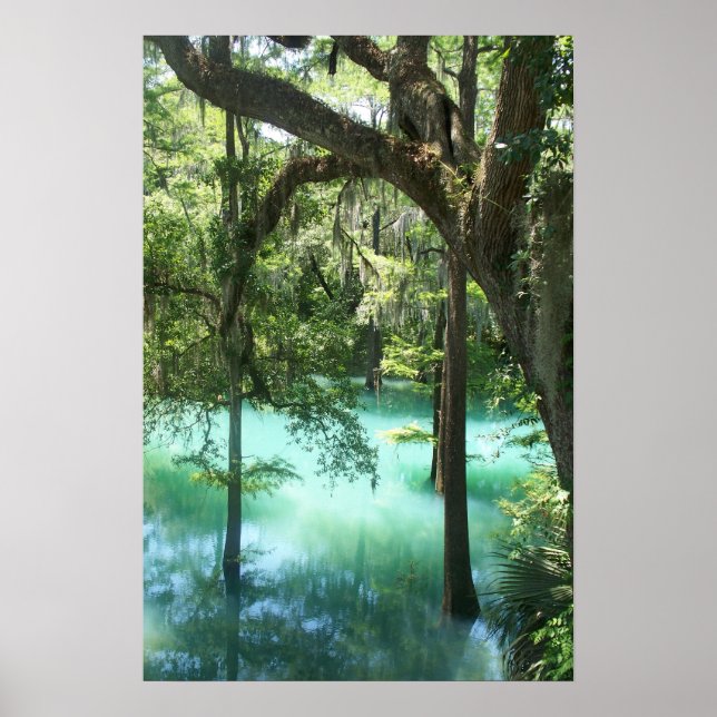 Poster Radium Springs Beauté (Devant)