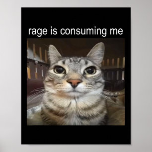 Poster Rage Me Consume Silly Staring Cat Meme