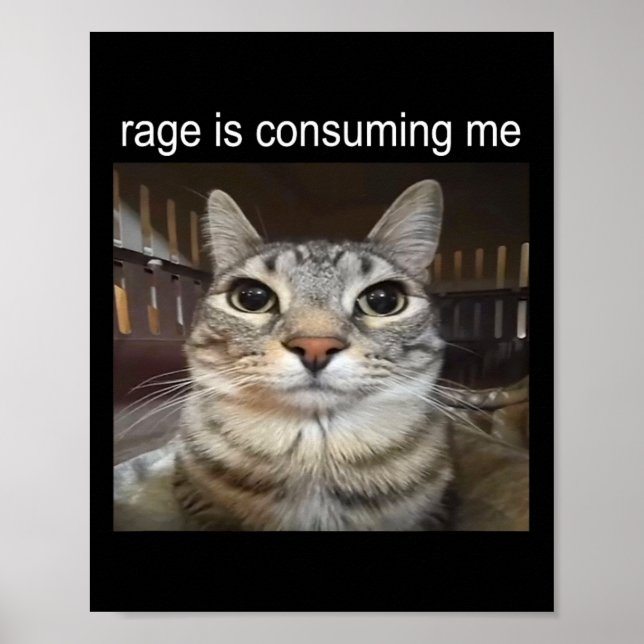 Poster Rage Me Consume Silly Staring Cat Meme (Devant)