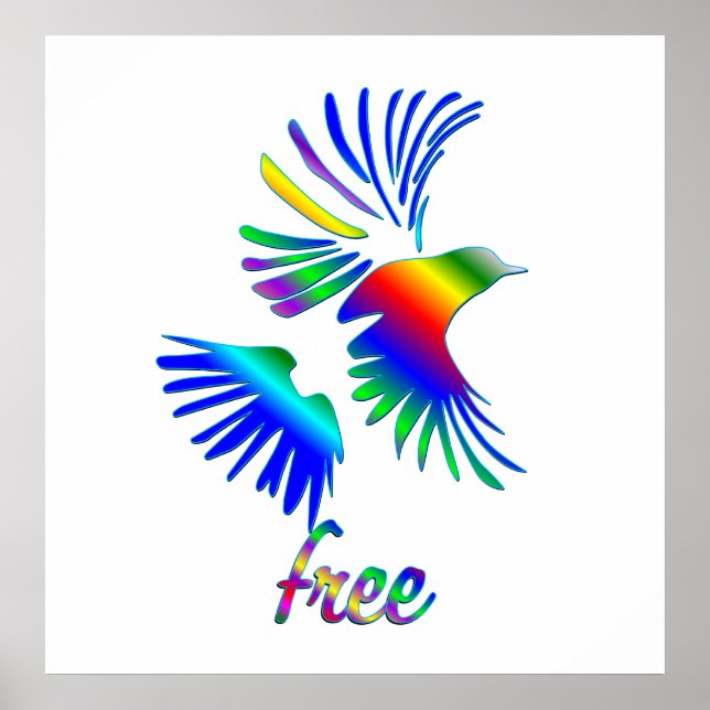 Poster Rainbow bird (Devant)