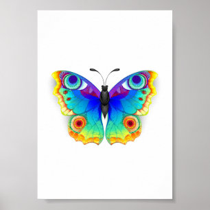Poster Rainbow Butterfly Peacock Eye