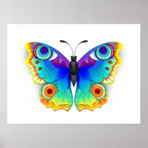 Poster Rainbow Butterfly Peacock Eye