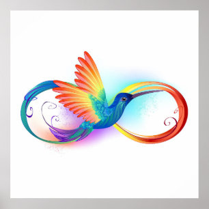 Poster Rainbow Hummingbird with Infinity symbol