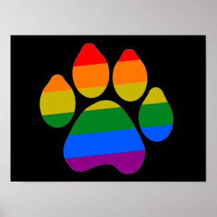 Poster Rainbow Paws