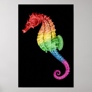 Poster Rainbow Seahorse