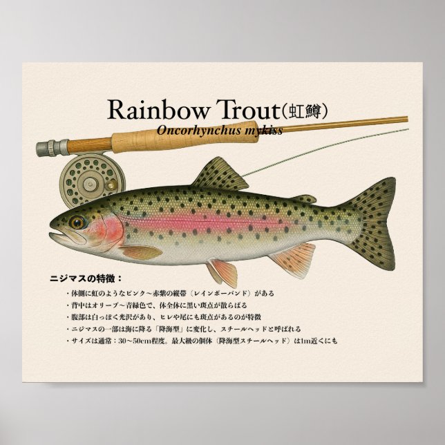 Poster Rainbow Trout – japanese Art Print (Devant)