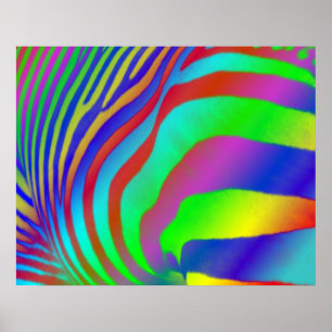 Poster Rainbow Zebra