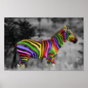 Poster Rainbow Zebra