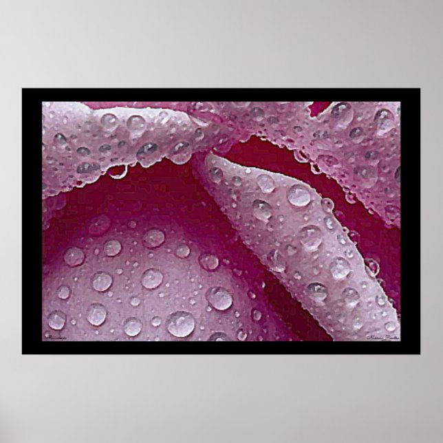 Poster Raindrops (Devant)