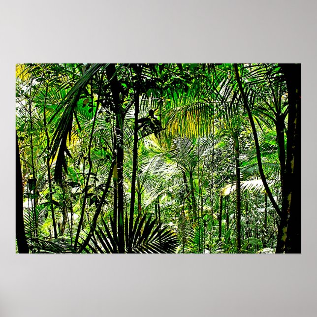 Poster Rainforest (Devant)