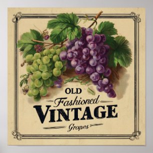 Poster Raisins de style ancien, vin violet et noir