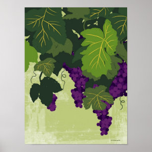 Poster Raisins sur la vigne