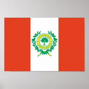 Poster Raleigh, drapeau de la Caroline du Nord