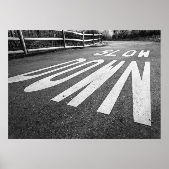 Poster Ralentis (Devant)