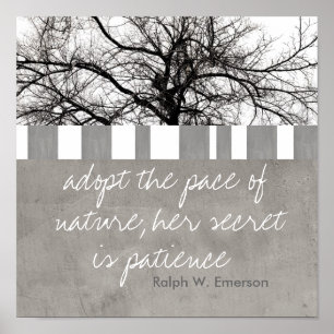 poster Ralph W Emerson quote nature photo art