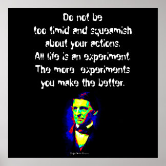 Poster Ralph Waldo Emerson - Paroles de sagesse
