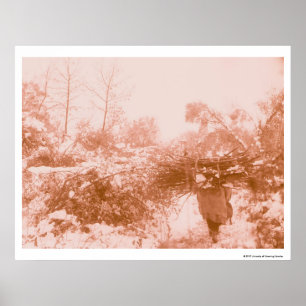Poster Ramasseur en bois de femme