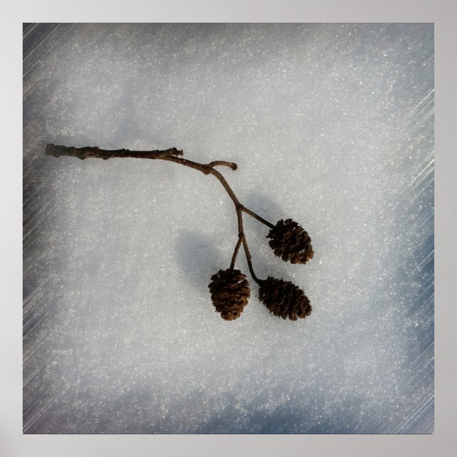 Poster rameau (Devant)