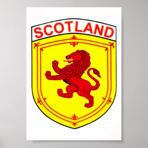 Poster Rampant lion / Scotland's flag