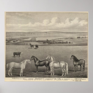 Poster Ranch de Brae de moulin, le Kansas