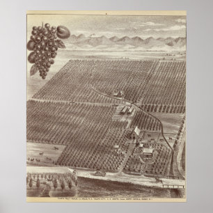 Poster Ranch de fruits de Chapin