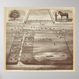 Poster Ranch d'Oakdale